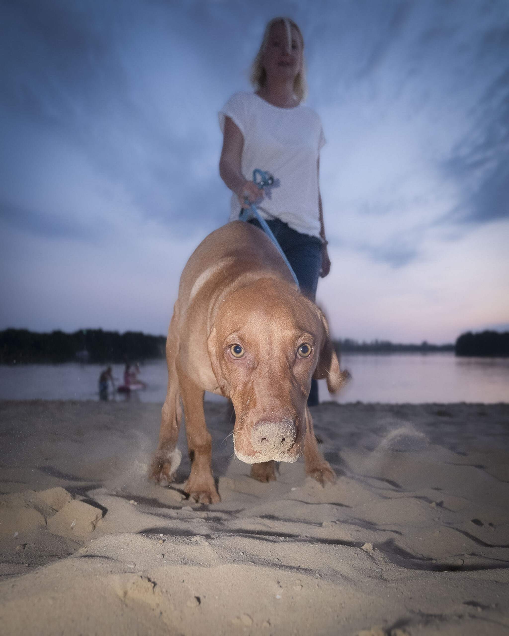 2025_agfaboy_dog-fotografie_002