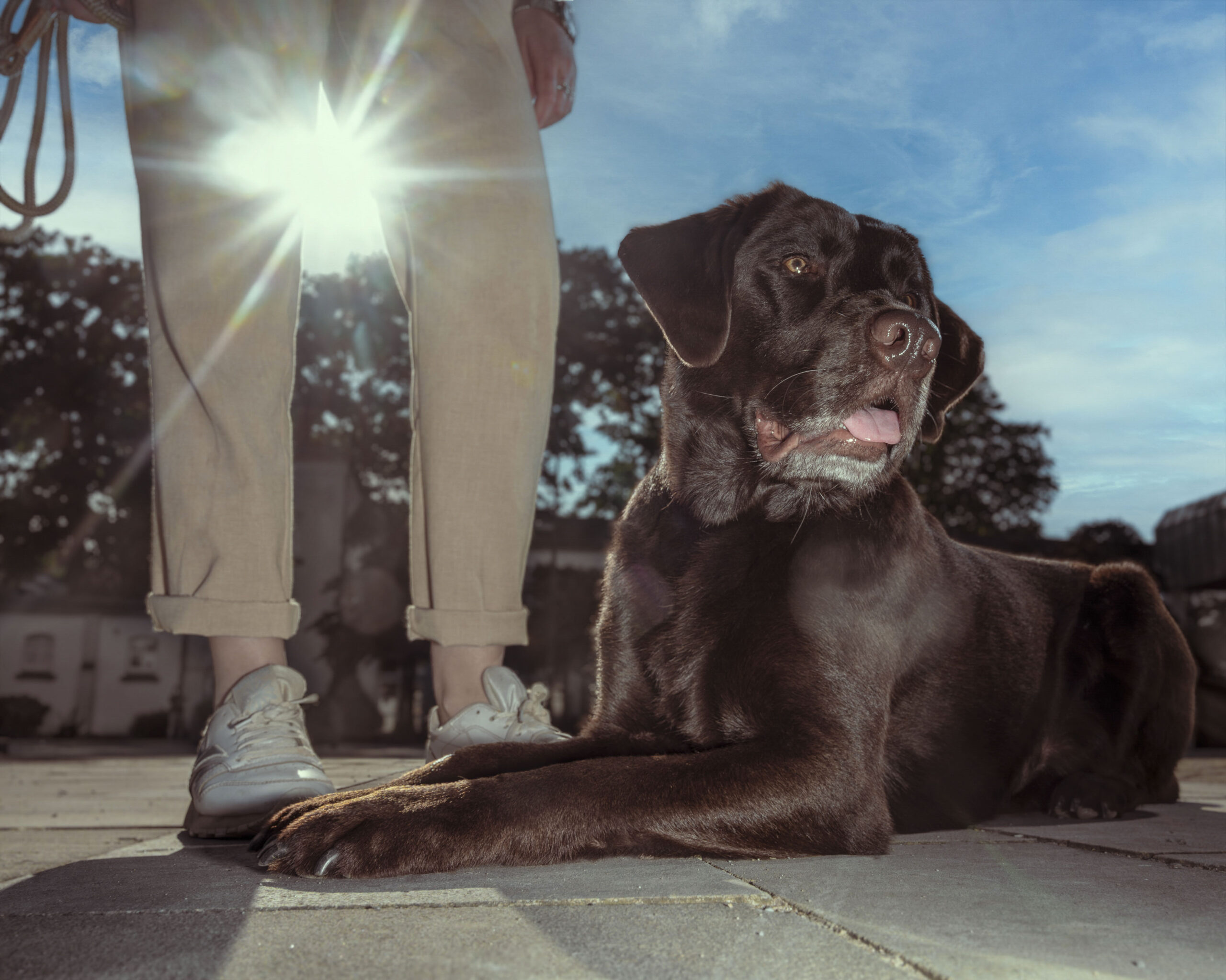 2025_agfaboy_dog-fotografie_010