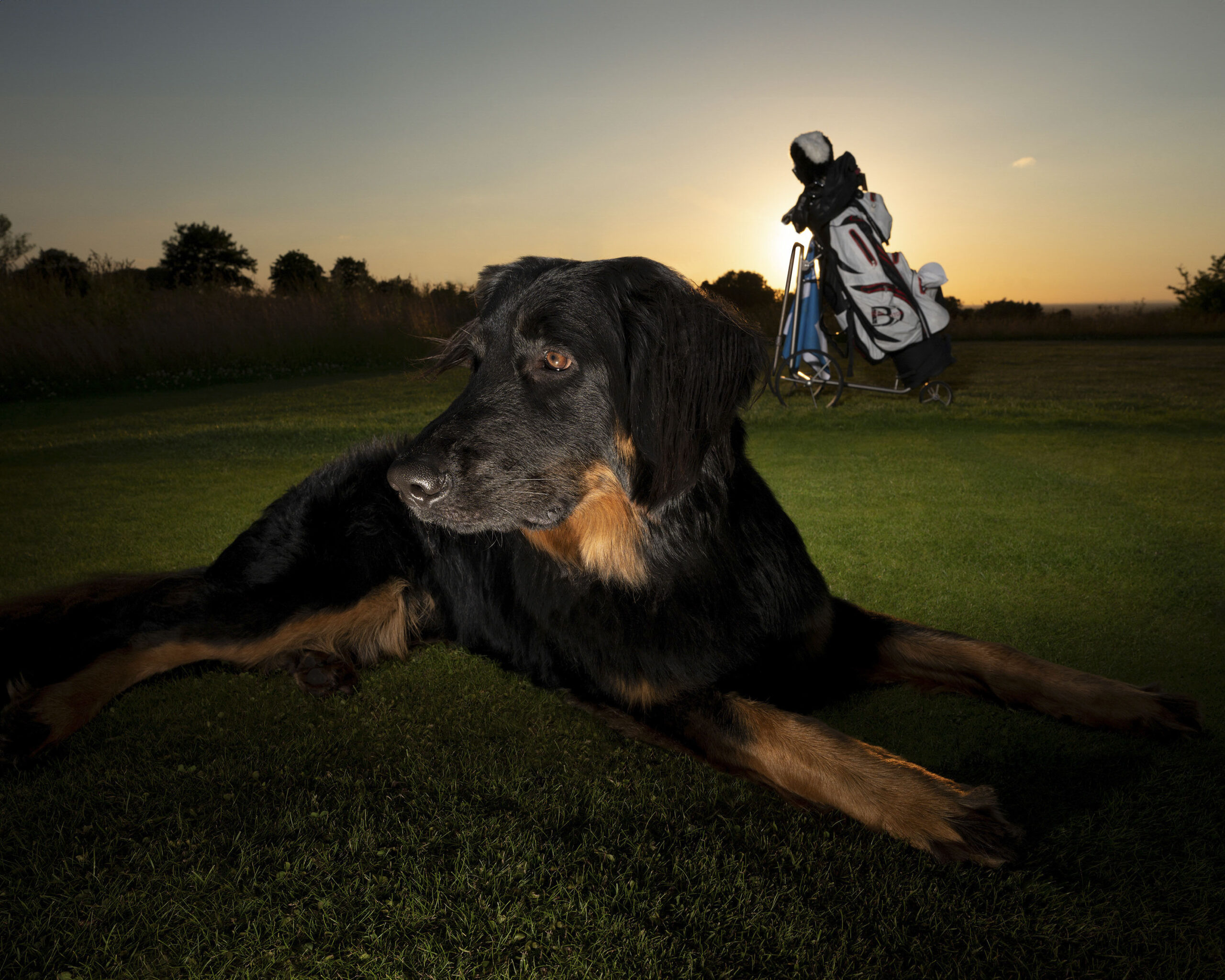 2025_agfaboy_dog-fotografie_017