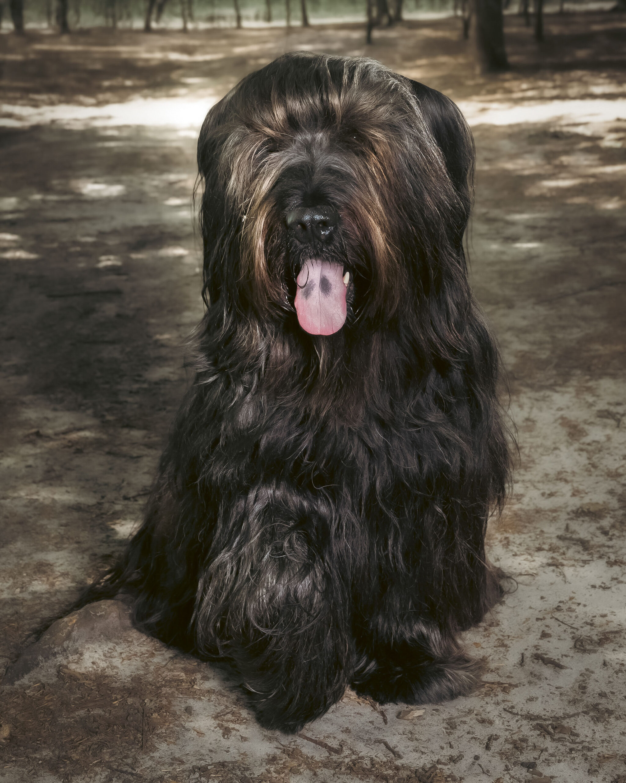 2025_agfaboy_dog-fotografie_031