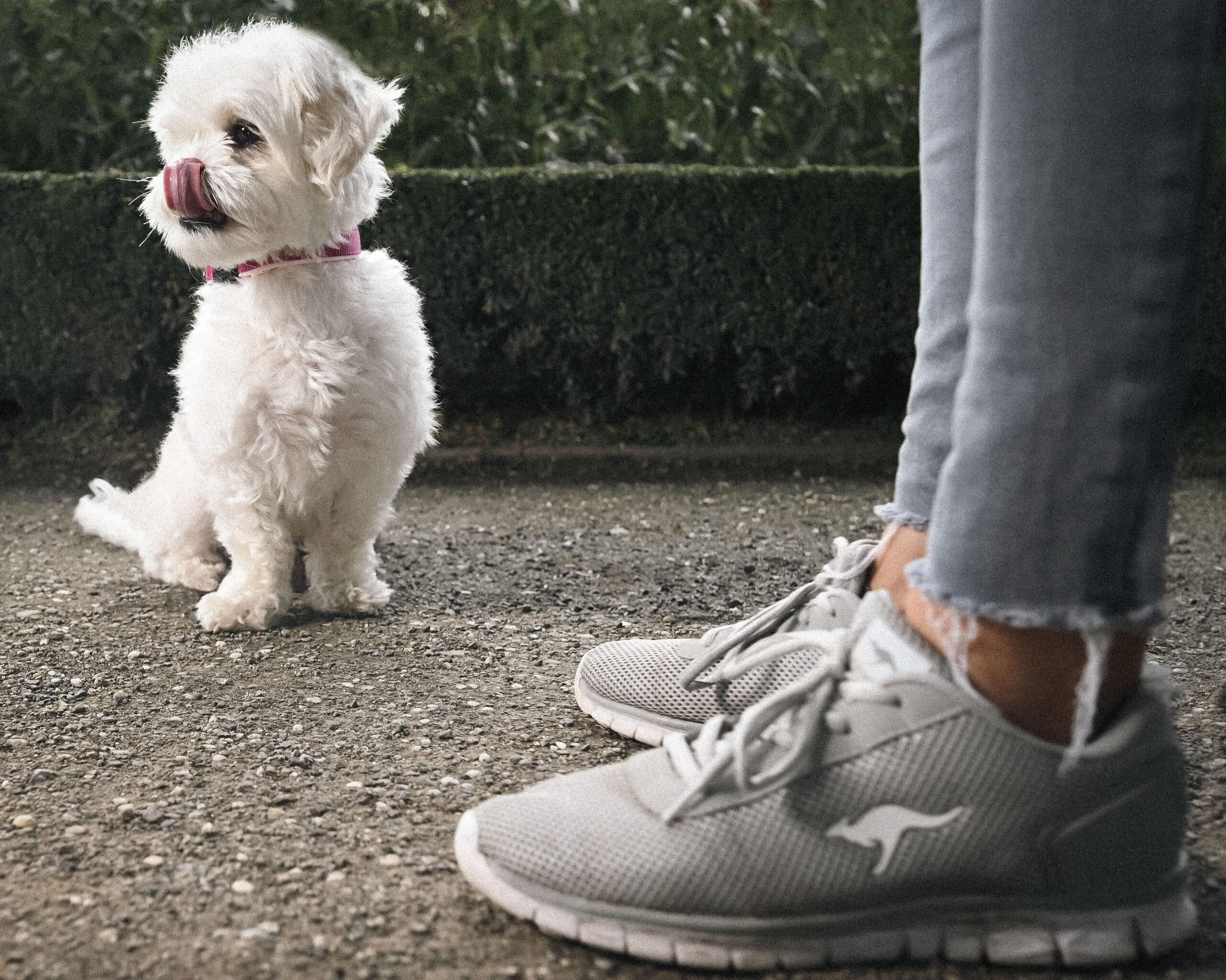 2025_agfaboy_dog-fotografie_038