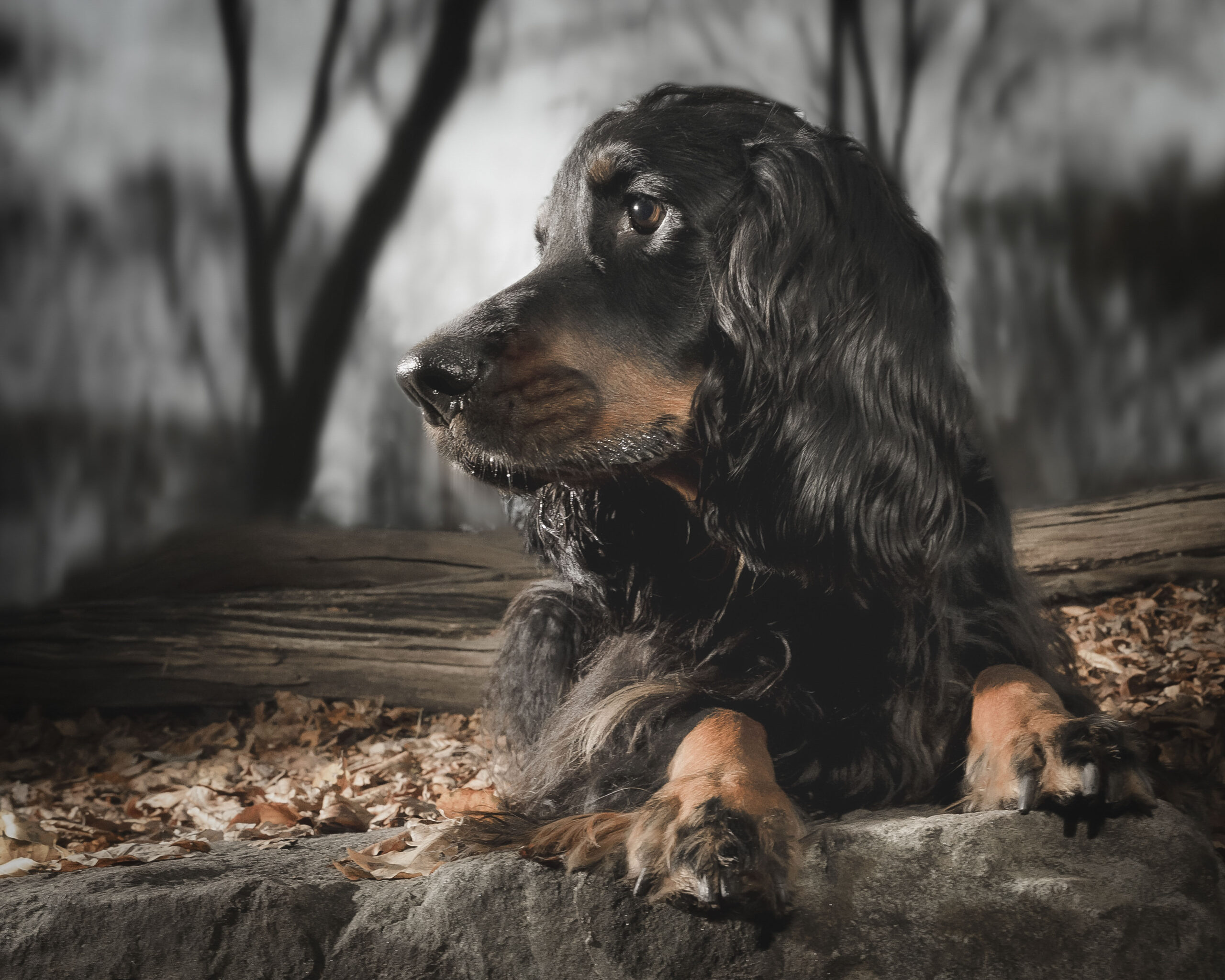 2025_agfaboy_dog-fotografie_043