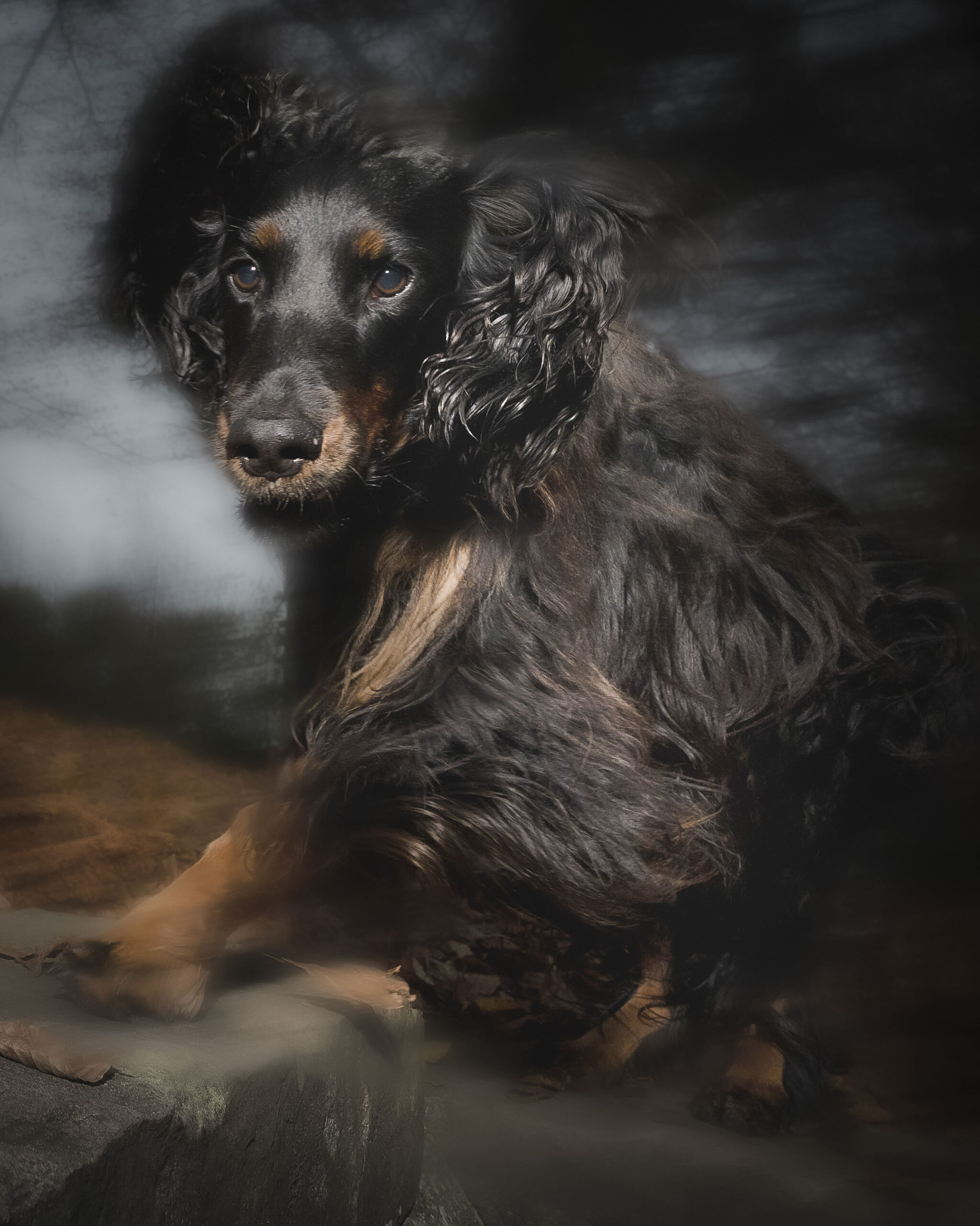 2025_agfaboy_dog-fotografie_044