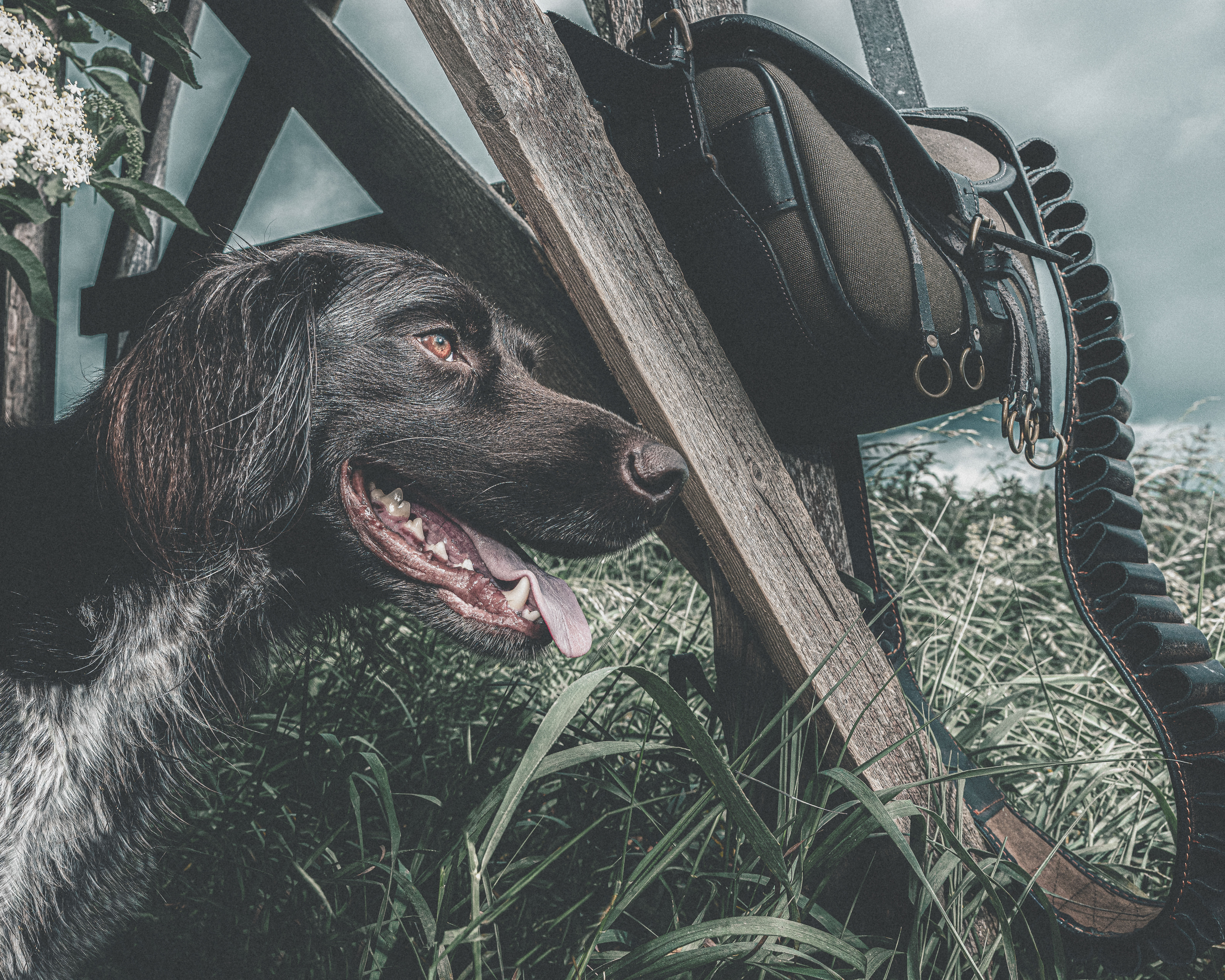 2025_agfaboy_dog-fotografie_048