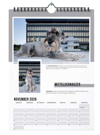 agfaboy_kalender2026_-(1)