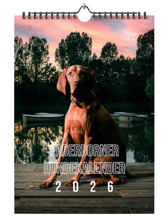 agfaboy_kalender2026_-(2)