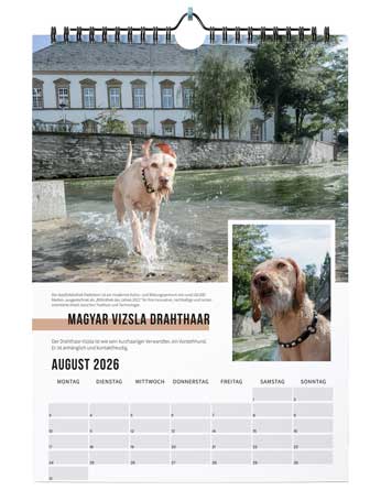 agfaboy_kalender2026_-(3)