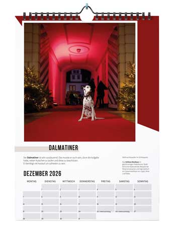agfaboy_kalender2026_-(4)