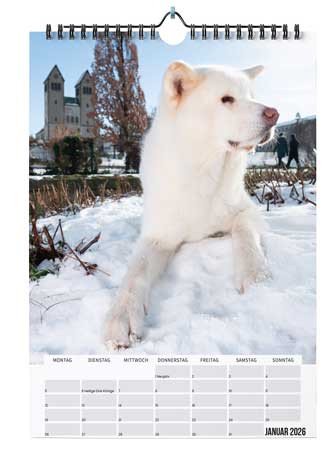 agfaboy_kalender2026_-(5)