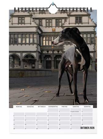 agfaboy_kalender2026_-(7)