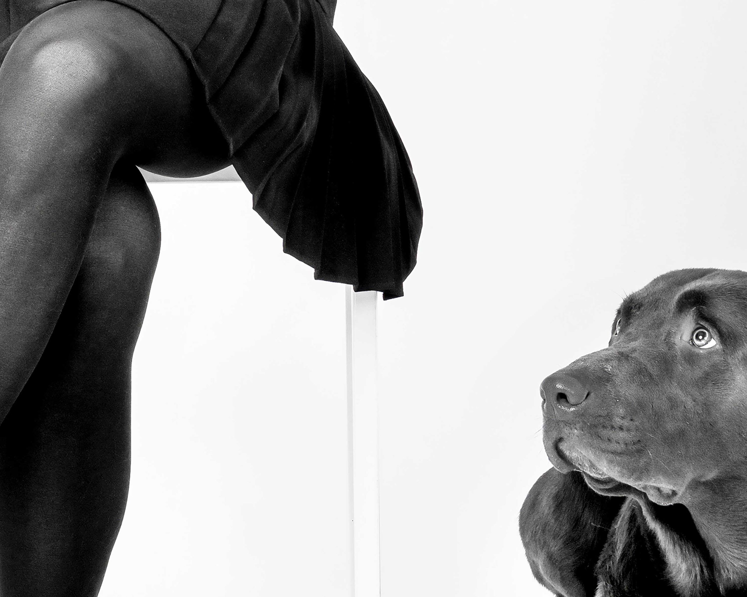 _2025_10_dog-fotografie_32