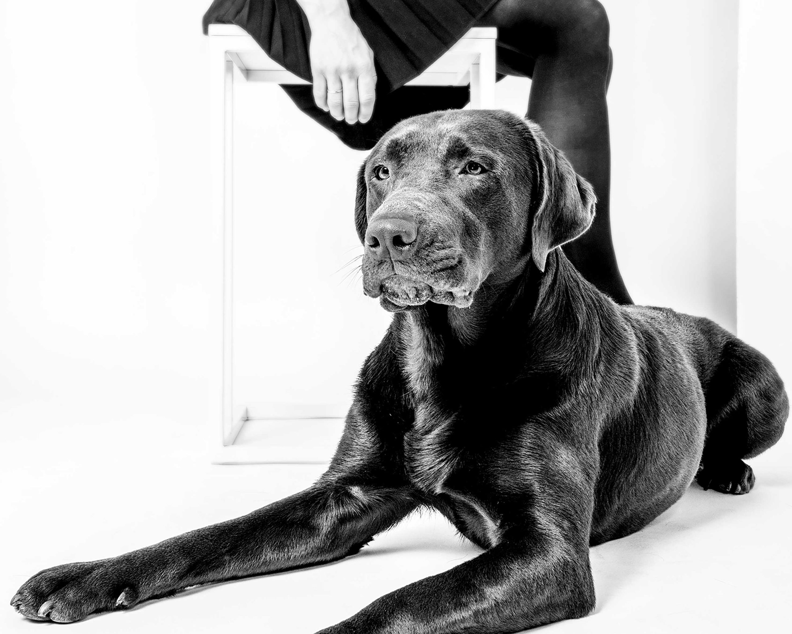 _2025_10_dog-fotografie_33